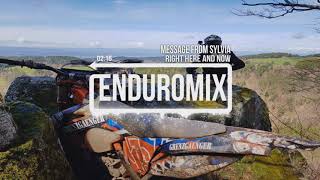 Message From Sylvia - Right Here And Now [querly]