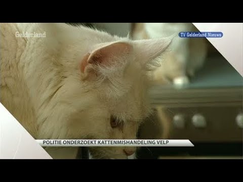 GLD Nieuws 22 juli 2011 - Nieuws