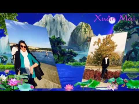 Nhạc tình quê hương - Ngọc Sơn