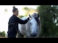 Melissa Grelo Shows Us Around Her Family S Horse Farm