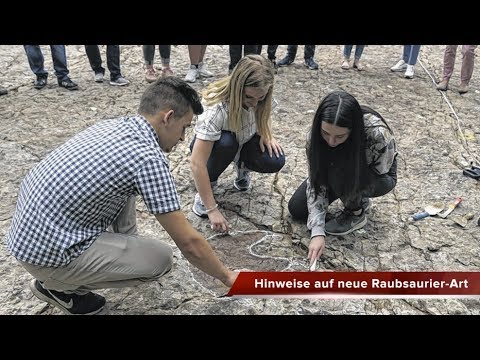 DIE HARKE vom 20 06 2018