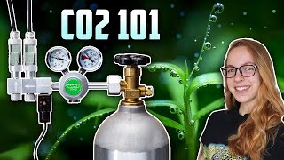 Beginner Tips: Getting Started With CO2 in Aquariums by Aquarium Co-Op
