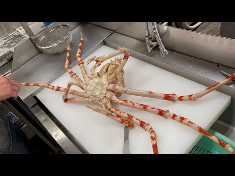 食べて応援 世界最大級のタカアシガニを通して 西伊豆 戸田の漁業を支援したい クラウドファンディング Zenes