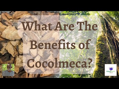 Cocolmeca Capsules