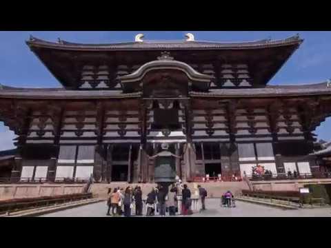 英語で百人一首 第五首「奥山に…」猿丸太夫 | あそびdeまなぶ