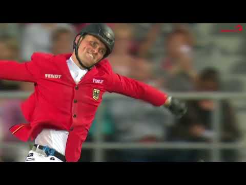 Chacco's Son I auf der Online Hengstschau der Hengststation Rene Tebbel