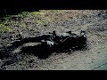 hearts under fire • Rumple/Belle/Hook {OUAT 2x11 ...