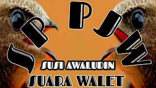 Download lagu SUARA PANGGIL BURUNG WALET - Sp pjw old 15:31 mp3