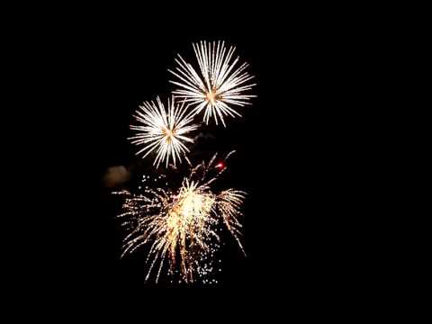 4" und 5" Kugelbomben Cracklingweide mit Parasiten