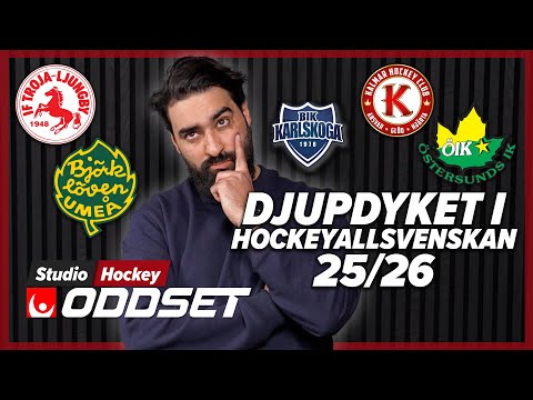 DEL 2 AV DJUPDYKET I HOCKEYALLSVENSKAN │Vad behöver lagen få in i truppen under 2025/2026