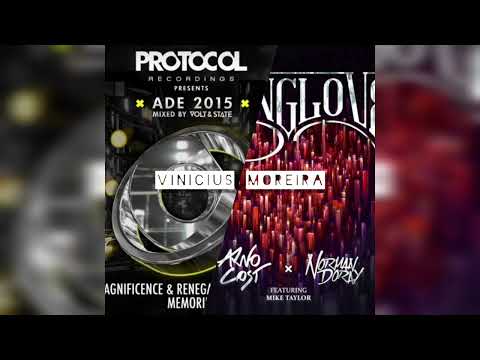 Magnificence & Renegade vs Arno Cost & Norman Doray - Memories Rising Love (Vinicius Moreira Mashup)