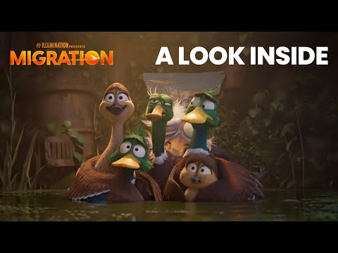 A Look Inside