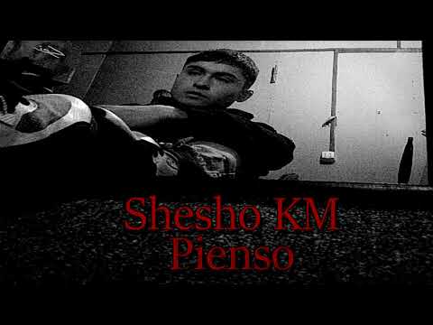 SheshoKM - Pienso