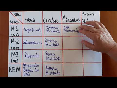 Fases do sono (fases não REM e REM)