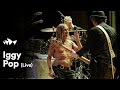Iggy Pop - "I Wanna Be Your Dog" | Live at Sydney Opera House