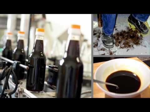 download lagu mp3 mp4 Soy Sauce For Hair, download lagu Soy Sauce For Hair gratis, unduh video klip Soy Sauce For Hair