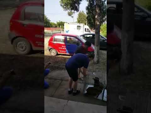 Kastrationsaktion Mai 2018 in Hotarele, Rumanien