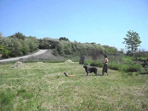 Maja az életem értelme...2