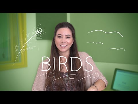 Learn The Most Useful Words in German