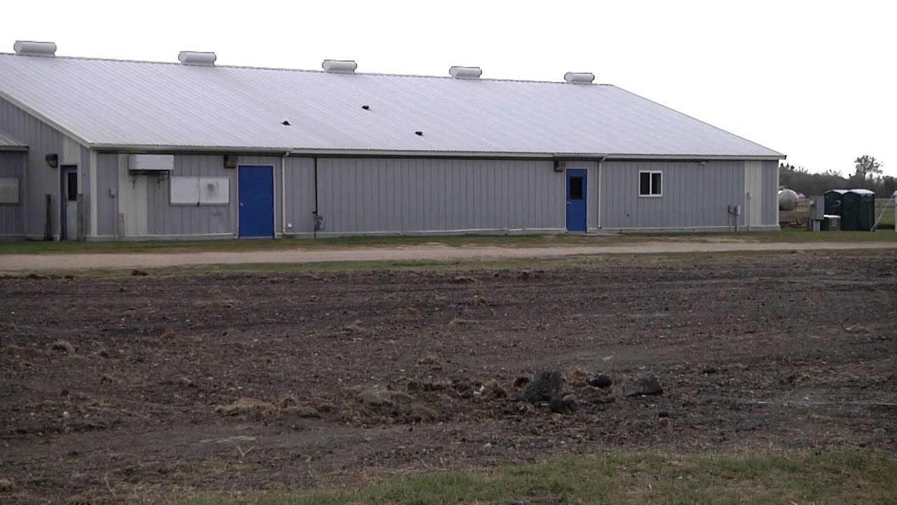 New SDSU Swine Unit Will Benefit the Region