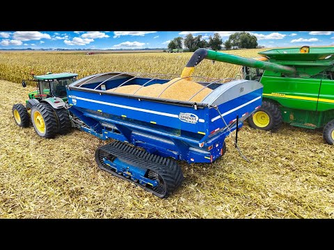 New Kinze Grain Cart for the Farm (Big Upgrade)