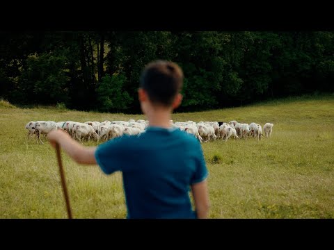 SUITE CIOCIARIA   - I TRILLANTI - OFFICIAL VIDEOCLIP