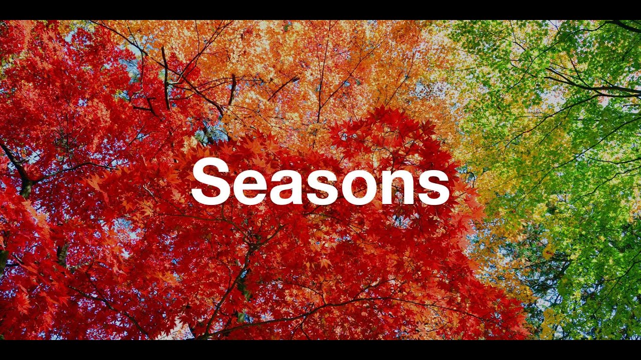 Seasons | 24 Solar Terms of the Year