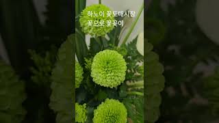 하노이 절.불교꽃꽂이 #베트남하노이 #꽃 #꽃꽂이 #하노이 #불교꽃꽂이