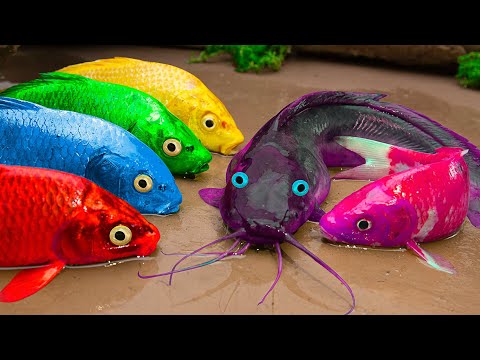 Stop Motion Asmr  Amazing Yellow Carp, Catfish, Octopus And Motorbikes - Primitive Cooking - Coco