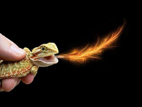 YouTube Video NG3glPhKqHQ