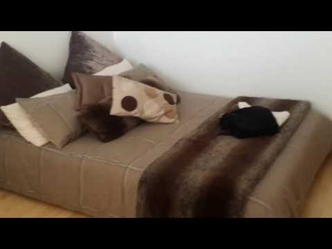 Stunninng Modern house for sale in Crawford