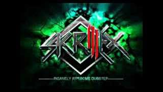 Skrillex - Friends , with you ( Long Drive Version )