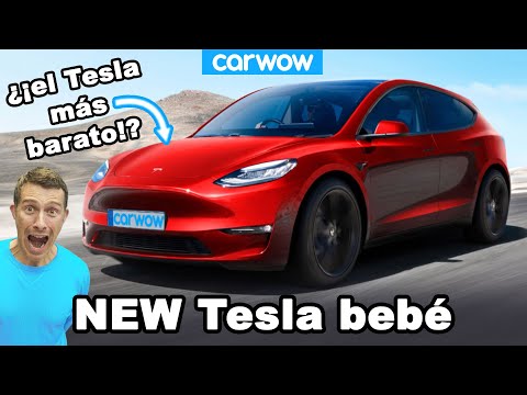 New baby Tesla – it will cost LESS than a VW Golf!
