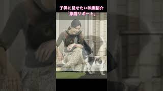 子供に見せたい映画「旅猫リポート」　　　　　#映画紹介 #子育て