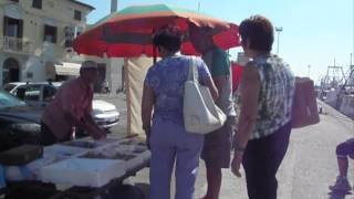 preview picture of video 'Tra i pescatori, i turisti e i venditori di pesce di Porto Garibaldi - Comacchio'