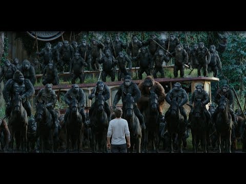 Dawn of the Planet of apes : apes do not want war full HD