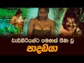 Paadadaya පාදඩයා ශ්‍යාමලී වරුසවිතාන රගපෑ අ�
