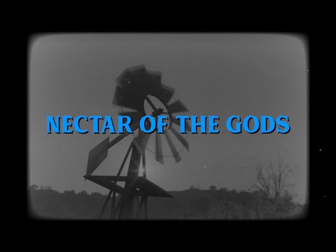 Lana Del Rey - Nectar Of The Gods (Lyric Video)