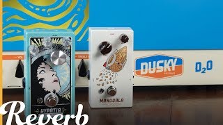 Video thumbnail for Dusky Electronics Roundup | Reverb Tone Report Demo by Reverb