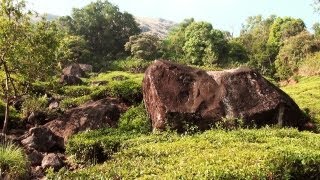 Hill View of Wayanad 