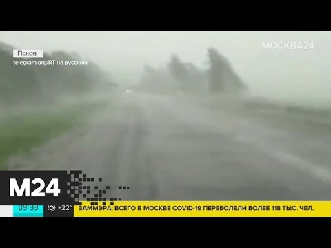 Актуальные новости России за 12 июня: по Псковской области прошелся ураган - Москва 24