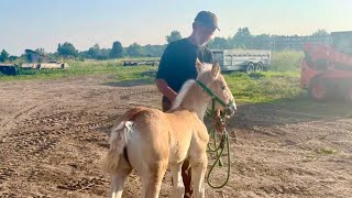 A BIG DAY FOR LIBBY // Where are Duke & Earl Now??!! #829