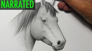 How to Draw a Horse [Narrated Step by Step]