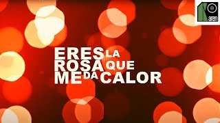 Juan Luis Guerra 4.40 - Bachata Rosa (Lyric Video)