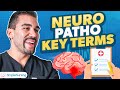 GCS Glasgow Coma Scale, LOC Level of Consciousness | Neuro Patho Key Terms