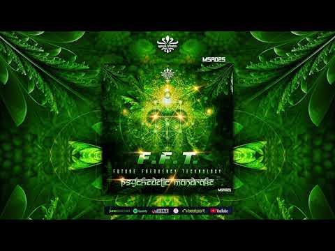 F.F.T. - Psychedelic Mandrake