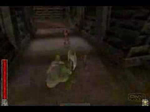 Rune world champion in action #2