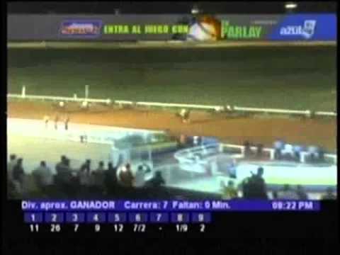 Resumen Miercoles, 21 de Noviembre de 2012 - Santa Rita