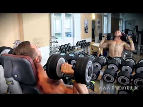 Daniel Gildner MUSCLE COMMANDER - Tag 78: Schultern, Nacken, Brust