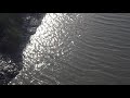 ♥♥ "The Healing Hands of Time" - easy listening